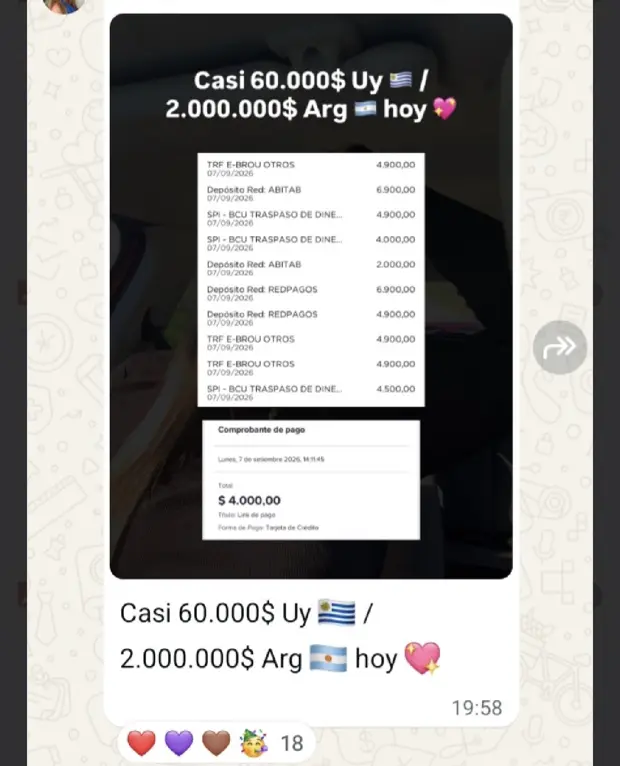 Captura de los movimientos bancarios de un día de una integrante de la comunidad